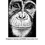 chimp Sanctuary